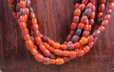 Jewelry Default Sherpa Coral Necklace jn059