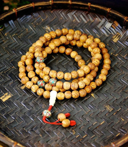Phoenix eye & 4 eye Bodhi Seed mala • Beads• 12mm Bodhiseed