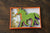 Paper Goods Default Sustainable Paper Horse Garland ho016