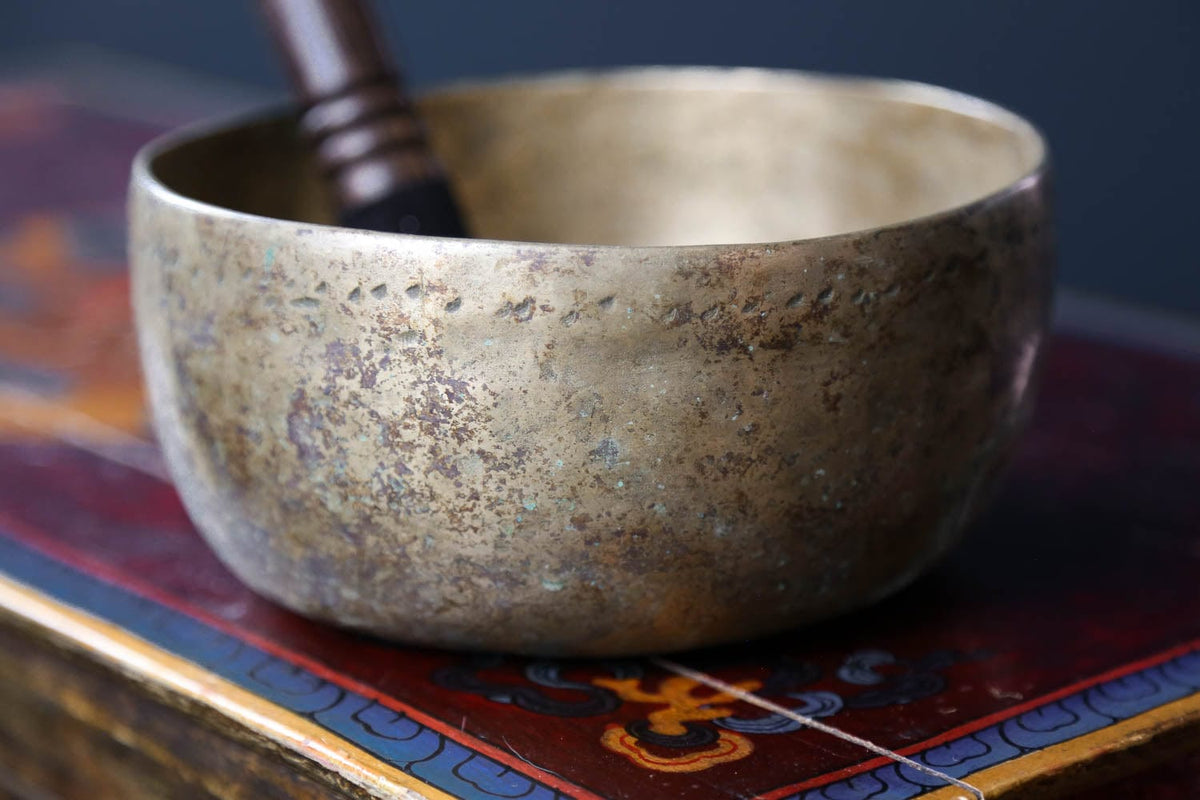 Spiritual Growth Antique Singing Bowl - DharmaShop